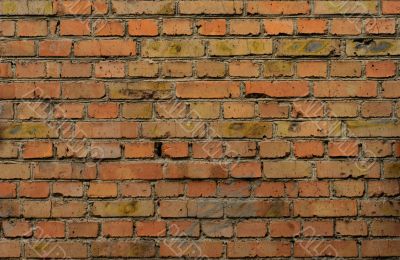 Industrial Brick Wall
