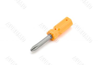 toy screw