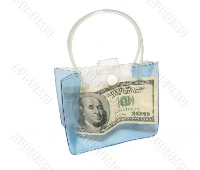 Banknote in a bag.
