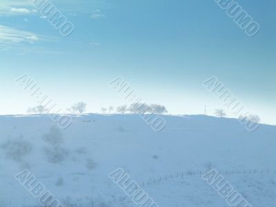 Top of hill