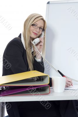 business woman  working