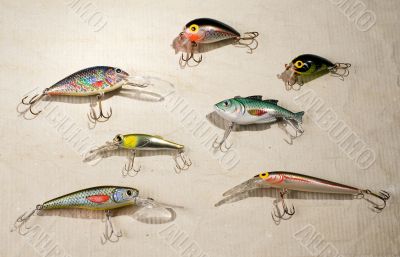 Artificial fishes
