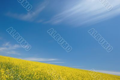 Field and the sky