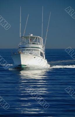 luxury cruiser