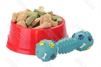 Dog Food in a Bowl
