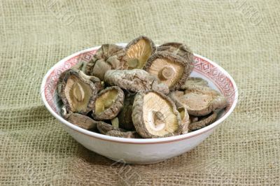 Shiitake Mushrooms