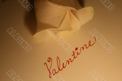 Valentine Rose
