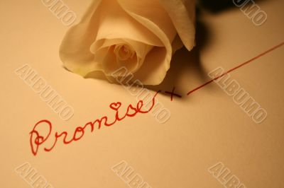 Valentine Rose