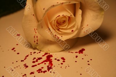 morbid valentine