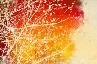 flower abstract textures and backgrounds