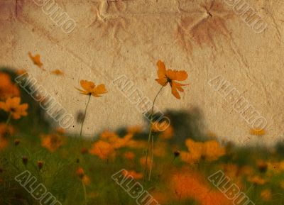 old-fashioned landscape