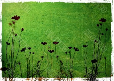 flower abstract textures and backgrounds