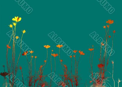 flower abstract textures and backgrounds