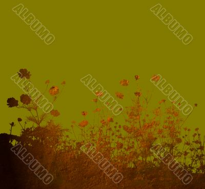 flower abstract textures and backgrounds