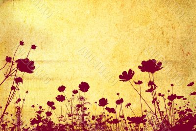 flower abstract textures and backgrounds