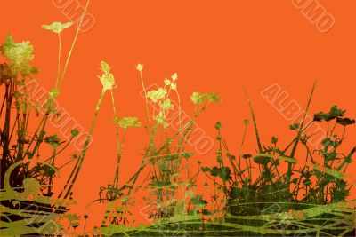 flower abstract textures and backgrounds