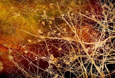 flower abstract textures and backgrounds
