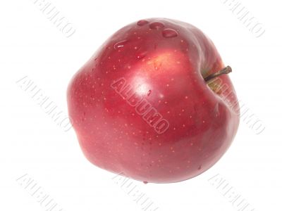 red apple