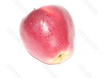 red apple