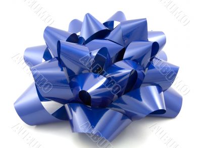 Blue Bow