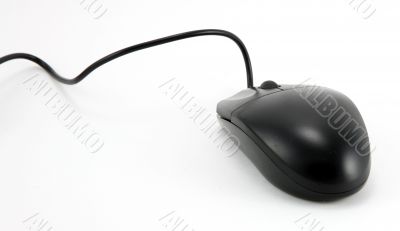 Black Mouse