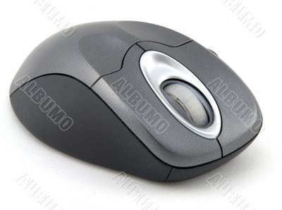 Wireless Mouse