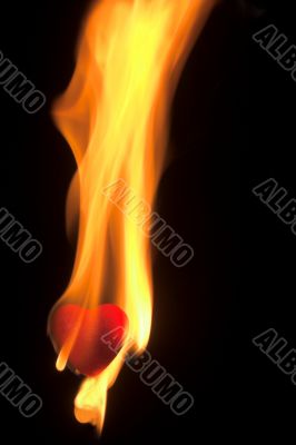 Heart Burn