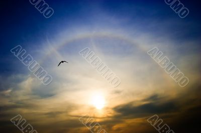 Rainbow around the sun