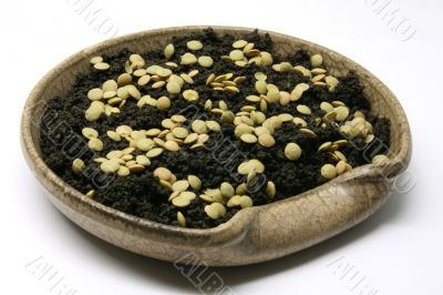 Bowl with dirt
