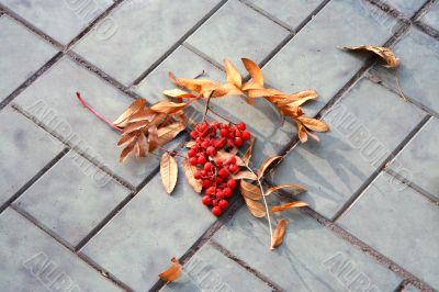 Autumn
