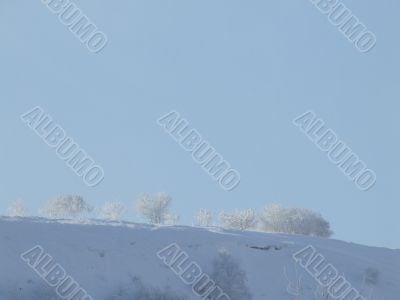 Top of hill