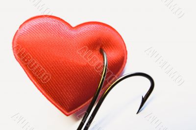 The red heart pinned on a fishing hook