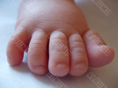 Foot of the baby