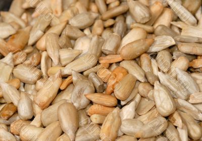 toasted sunflower seeds