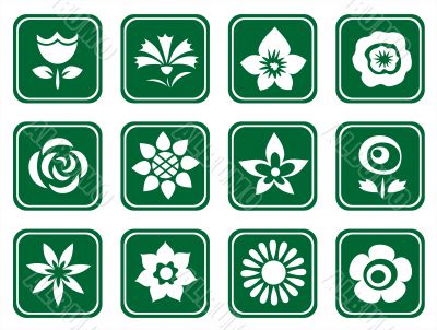 twelve flower symbols