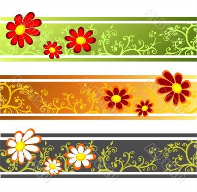three flower strips