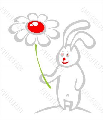 rabbit and flower