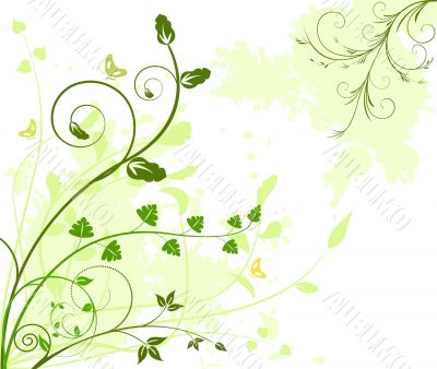 Floral background vector