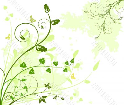 Floral background vector