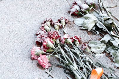 Flowers in the foot of the monument