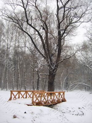 The bridge through the frozen pond in the winter
