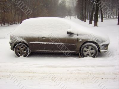 The car under a snow