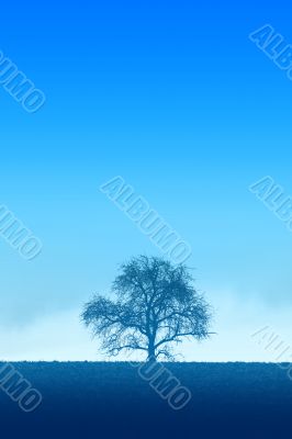 blue lonely tree