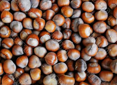 Hazelnuts