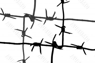 barbed wire