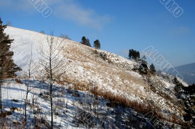 Altai Mountain with snow