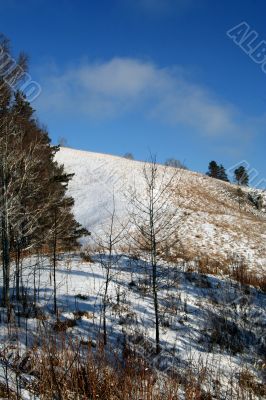 Altai Mountain with snow