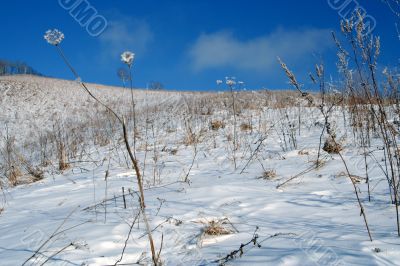 Altai Mountain with snow