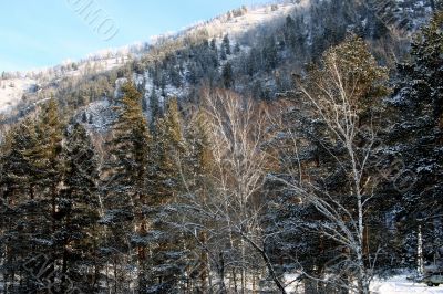 Altai Mountain with snow