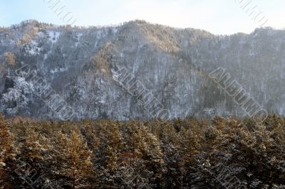 Altai Mountain with snow